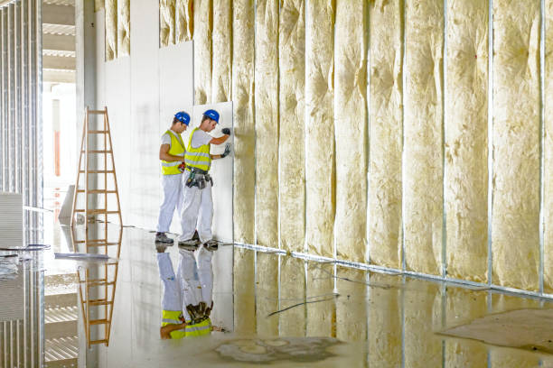 Best Crawl Space Insulation  in USA